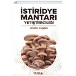 stiridye Mantar Yetitiricilii Duru Kean Tura Yaynclk