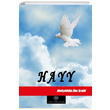 Hayy Muhyiddin bn Arabi Platanus Publishing