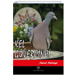 Kel Gvercinci Samed Behrengi Platanus Publishing