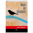 Yldz ile Kargalar Samed Behrengi Platanus Publishing
