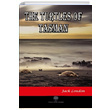 The Turtles of Tasman Jack London Platanus Publishing