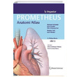 Prometheus Anatomi Atlas 2. Cilt Palme Yaynclk