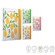 Prima Notes plik Dikili Sert Kapak Defter 9x14 120 Yaprak izgili (4388) Gpta