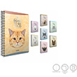 Mild Spiralli Ofset Plastik Kapak Defter A4 100 Yaprak Kareli (3868) Gpta