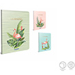 Morning Tel Dikili Ofset Plastik Kapak Defter A4 80 Yaprak izgili (4179) Gpta