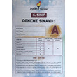 6.Snf Deneme Snav 1 Saysal Blm Aydn Yaynlar