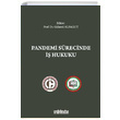 Pandemi Srecinde  Hukuku On ki Levha Yaynlar