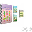 Window Spiralli Ofset Plastik Kapak Defter A4 80 Yaprak Kareli (4193) Gpta