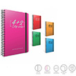 Step Spiralli 6 Seperatrl Plastik Kapak Defter 17x24 150 Yaprak 4+2 (1272) Gpta