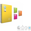 Aqua Neon Spiralli PP Kapak A5 80 Yaprak Kareli Defter (1975) Gpta