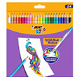 Bic Kids Evolution Silinebilir Kuru Boya Kalemi Kutu 24 Renk BC.987869