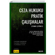 Ceza Hukuku Pratik almalar Sekin Yaynevi