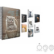 Cat Spiralli Karton Kapak Defter 17x24 80 Yaprak izgili (3720) Gpta