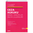 Ceza Hukuku Genel Hkmler Pratik almalar Sekin Yaynevi