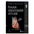 nsan Anatomisi Atlas Gne Tp
