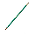 Bic Kurun Kalem Silgili Eco Evolution 655 Hb