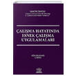 alma Hayatnda Esnek alma Uygulamalar Legal Yaynlar