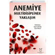 Anemiye Multidisipliner Yaklam Akademisyen Kitabevi