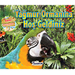 Yamur Ormanna Ho Geldiniz Teleskop Popler Bilim