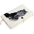 Ekinoks Kitap Klf KK-402-3 Kedi 3 Penka