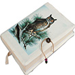 Ekinoks Kitap Klf KK-404-4 Bayku 4 Penka