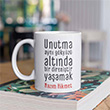 Nazm Hikmet Direni Kupa K323 Book Tasarm