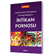 ntikam Pornosu Sekin Yaynlar