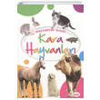 Hayvanlar Alemi Kara Hayvanlar Ema ocuk