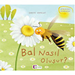 Bal nasl oluur? Mor Elma Yaynclk