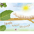 pek nasl oluur? Mor Elma Yaynclk