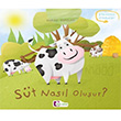 St nasl oluur? Mor Elma Yaynclk