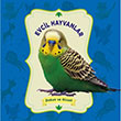 Evcil Hayvanlar Dokun ve Hisset 0-6 Ya Yaynlar