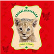 Yabani Hayvanlar Dokun ve Hisset 0-6 Ya Yaynlar