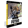 Herkes in Pardus Hseyin G Kodlab Yayn Datm