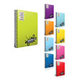 Basic Spiralli PP Kapak A4 96 Yaprak izgili  Defter Gpta