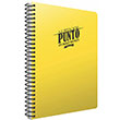 Punto Spiralli Plastik Kapak Defter A5 100 Yaprak izgili (3388) Gpta
