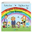 Bugn Gnlerden Ne Renk? Pearson ocuk