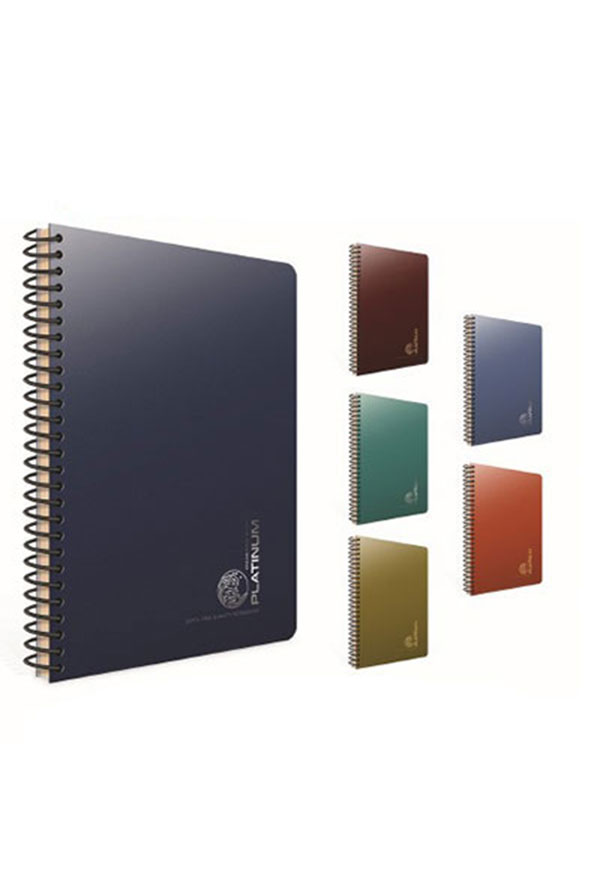 Gpta Platnum Spiralli Plastik Kapak Defter 17x24 100 Yaprak izgili