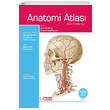 Anomi Atlas Palme Yaynclk
