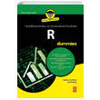 R for Dummies R ile Veri Dzenleme ve statiksel Analizler Nobel Yaam