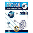 AYT Biyoloji 25 x 13 Denemeleri Bilgi Sarmal