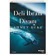 Deli İbrahim Divanı Can Yayınları