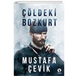 ldeki Bozkurt Turkuvaz Kitap