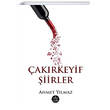 akrkeyif iirler Ahmet Ylmaz Elpis Yaynlar