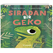 Sradan Bir Geko Uanbalk Yaynclk