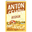 Bozkr Dokuz Yaynlar