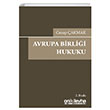 Avrupa Birlii Hukuku On ki Levha Yaynclk