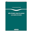 Bir Temel Hak Olarak alma Hakk On ki Levha Yaynclk