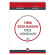 100 Tartmal Soruyla Trk Ceza Hukuku zel Hkmler Adalet Yaynevi
