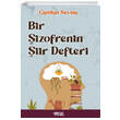 Bir izofrenin iir Defteri Glnar Yaynlar